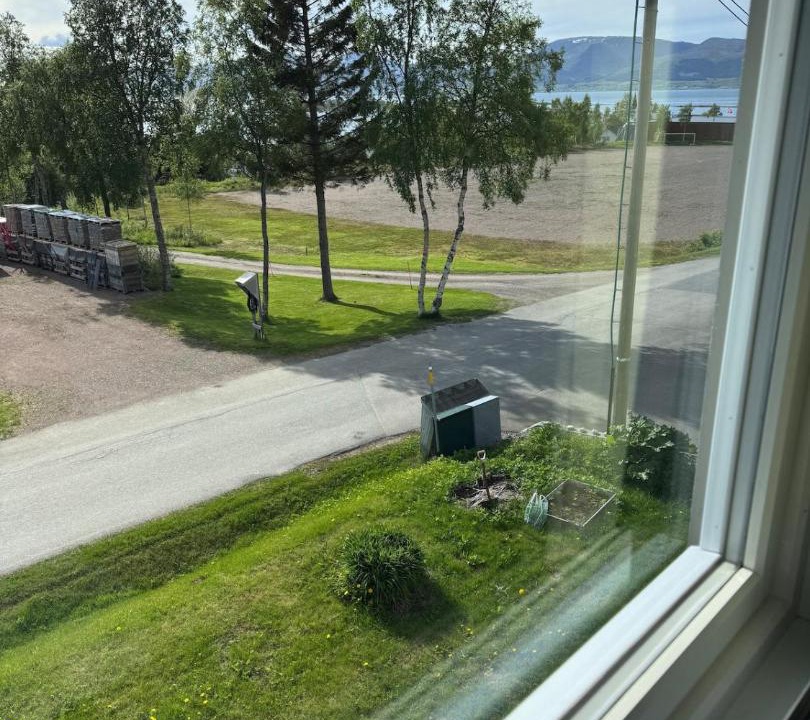 Photo of Others in Sortland