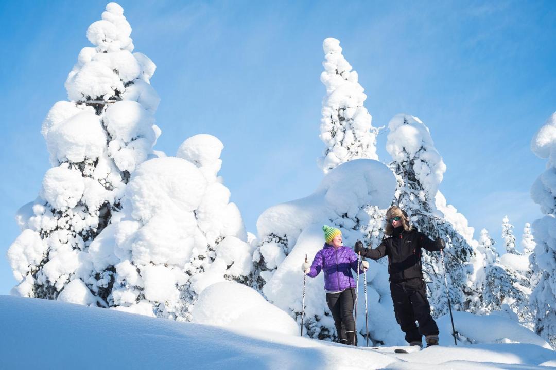 Photo of Others in Rovaniemi