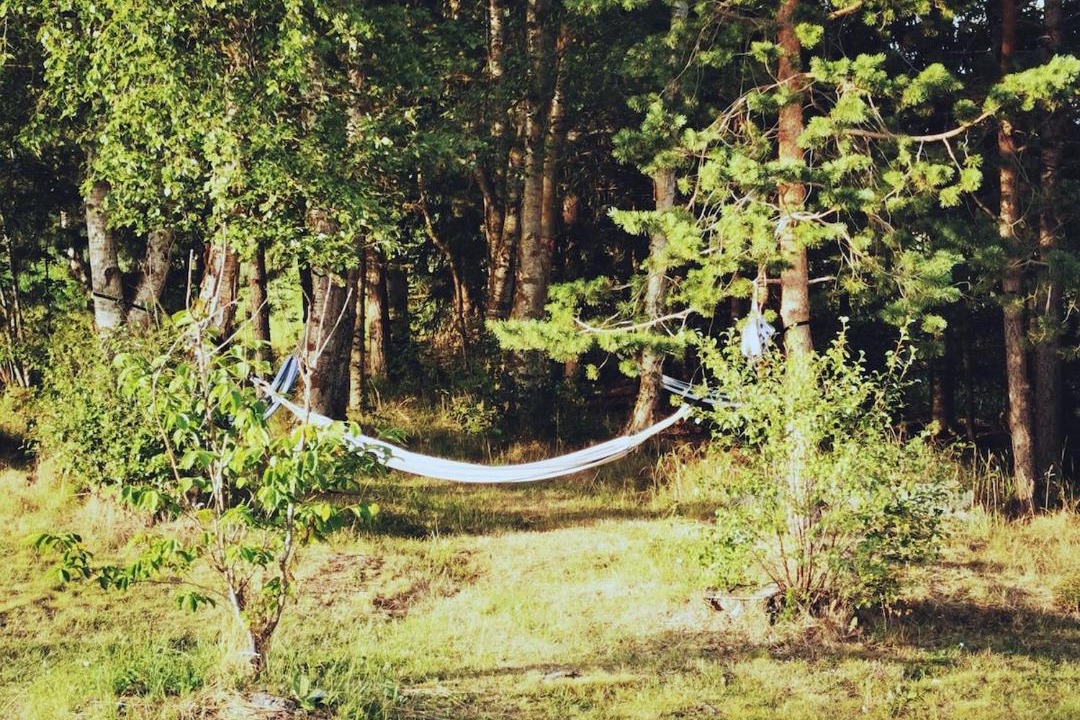 Photo of Others in Lesja