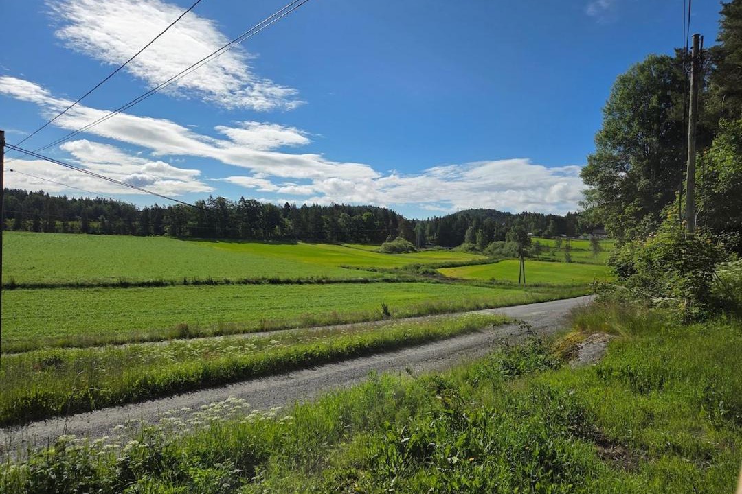 Photo of Others in Grimstad