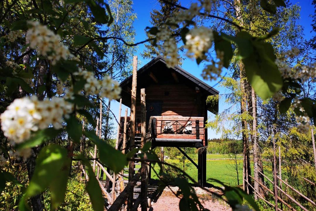 Photo of Others in Ikaalinen