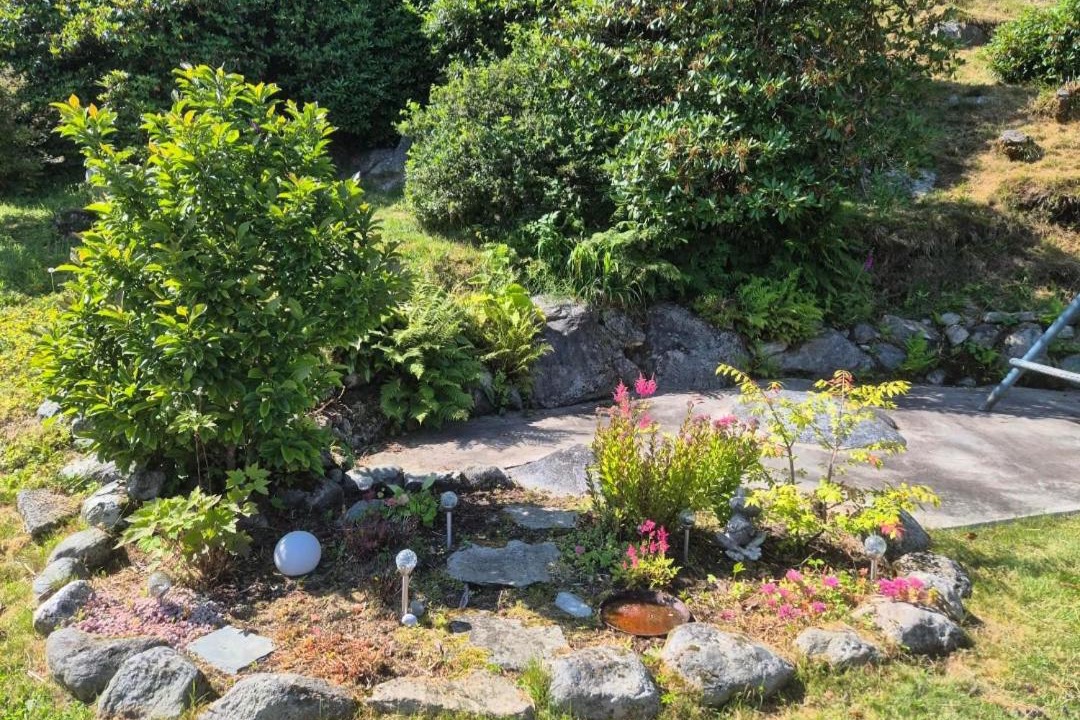 Photo of Others in Haugesund