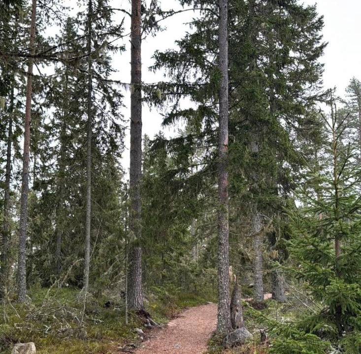Photo of Others in Kvissleby