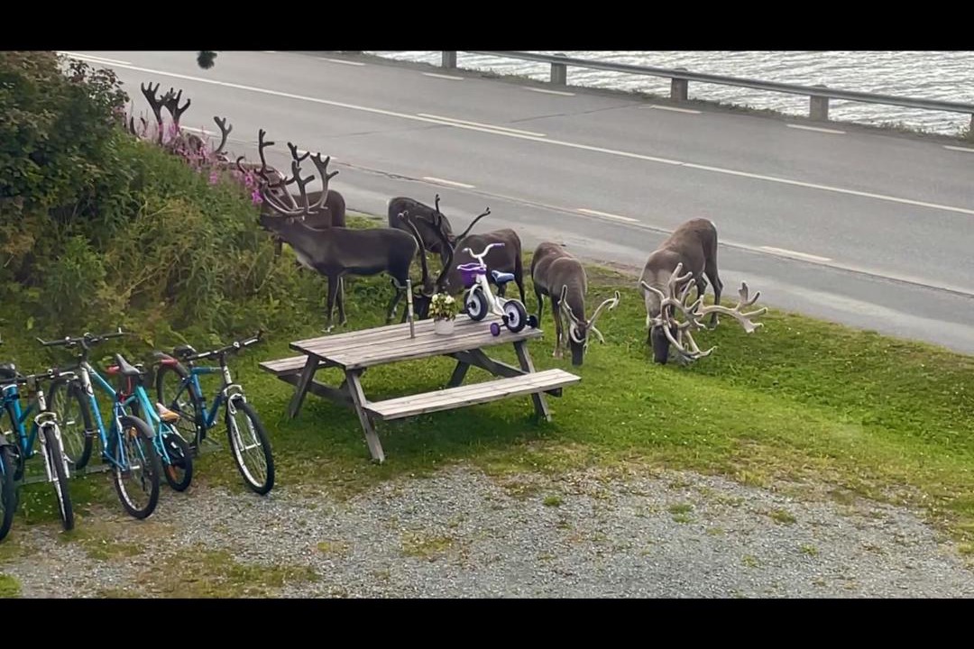 Photo of Others in Tarnaby