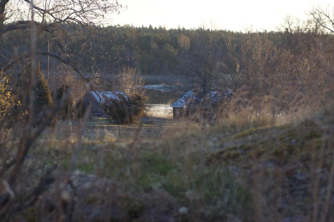 Photo of Others in Hammarland