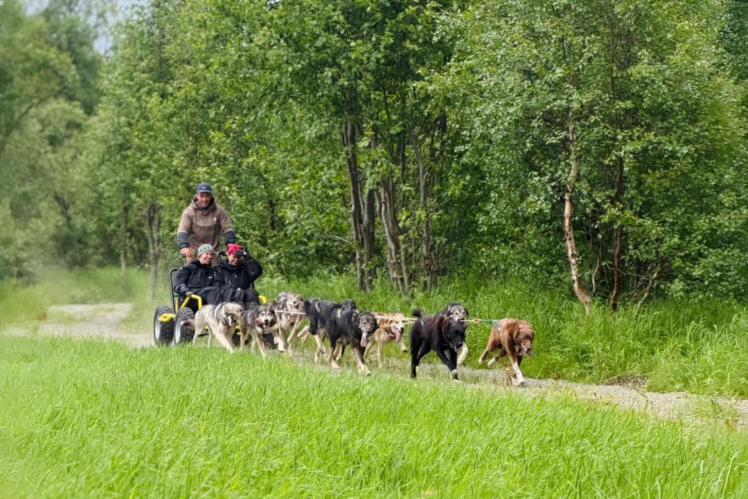 Photo of Others in Alta