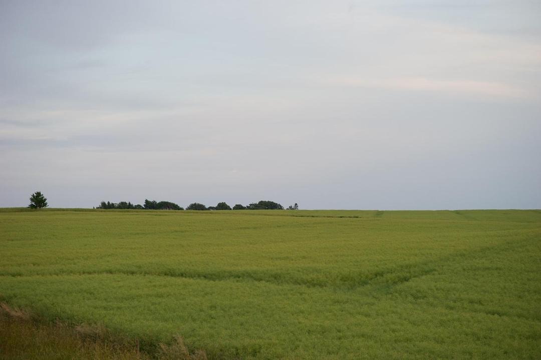 Photo of Others in Onslunda