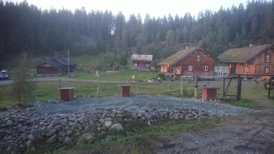 Photo of Others in Kviteseid