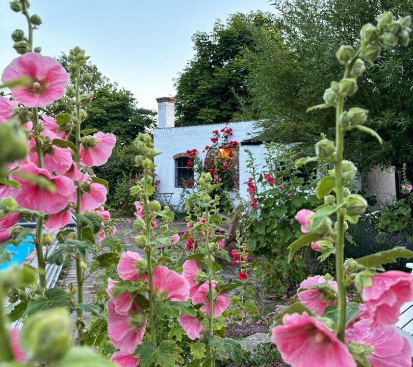 Photo of Others in Simrishamn