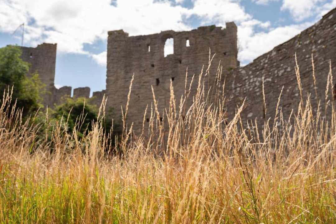 Photo of Others in Visby