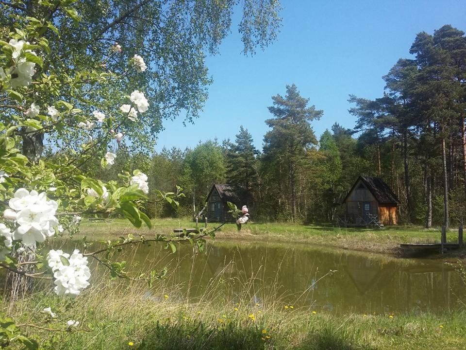 Photo of Others in Hemse