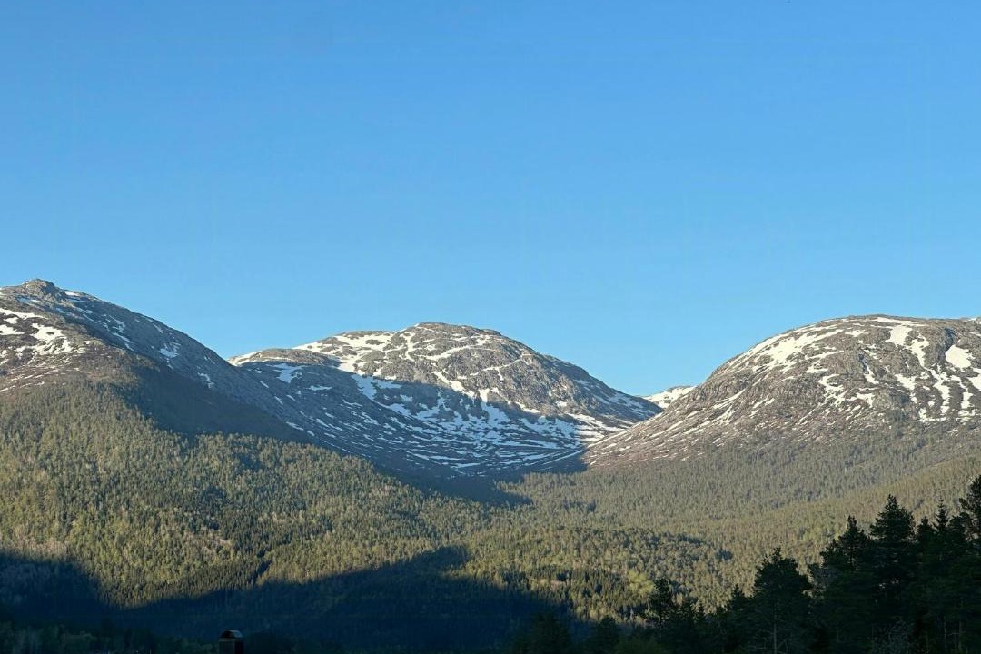 Photo of Others in Stjordal