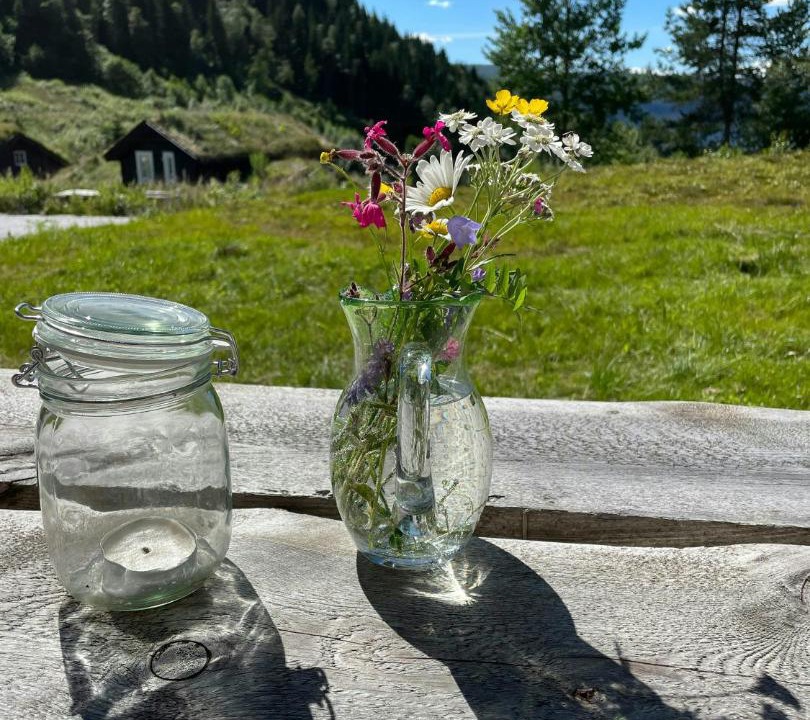 Photo of Others in Stjordal