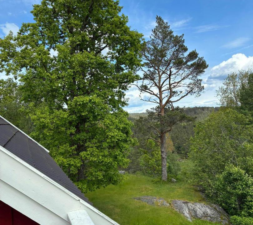 Photo of Others in Vennesla