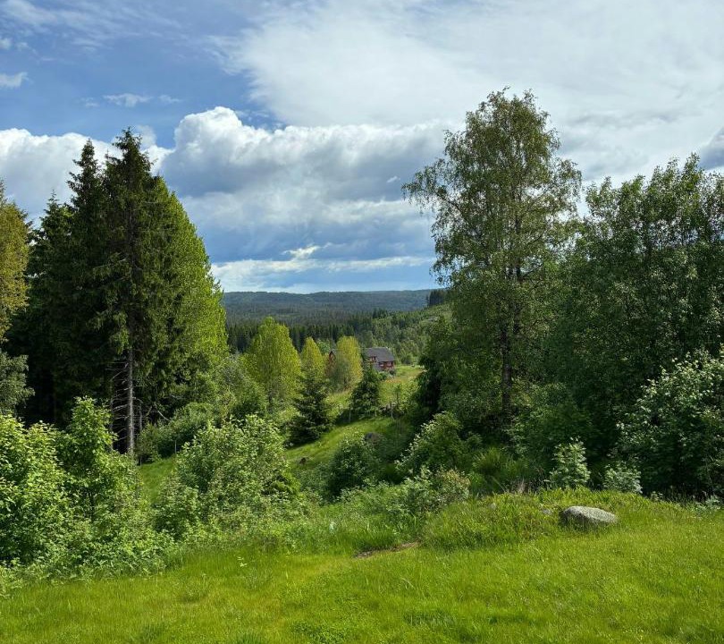 Photo of Others in Vennesla