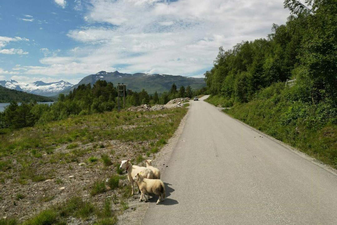 Photo of Others in Møre og Romsdal