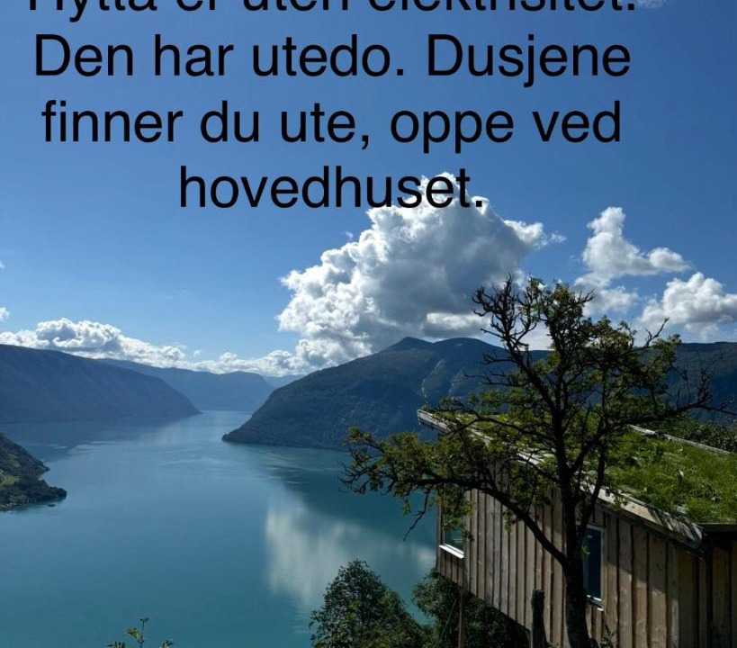 Photo of Others in Luster