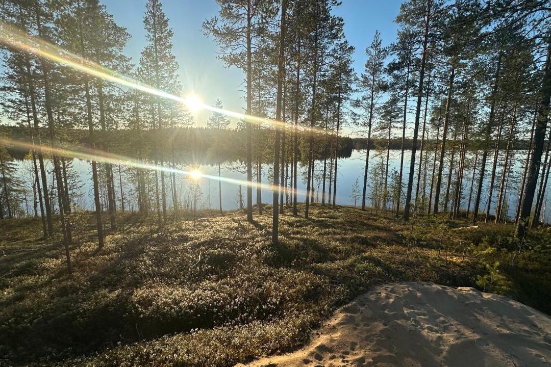 Photo of Others in Rovaniemi
