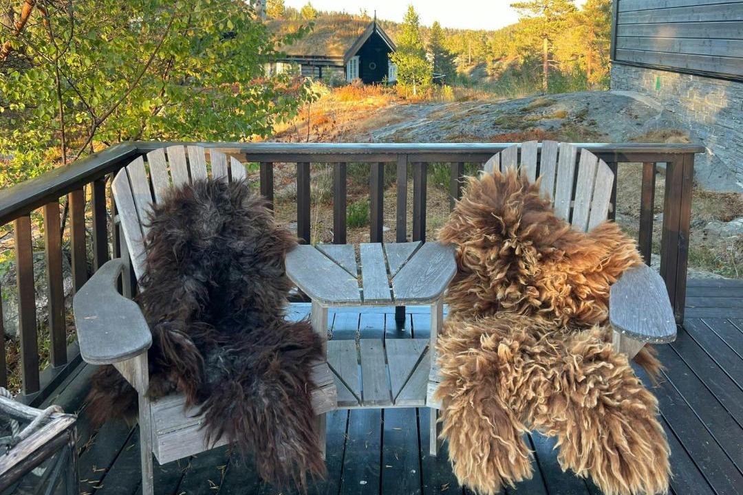 Photo of Others in Tørdal