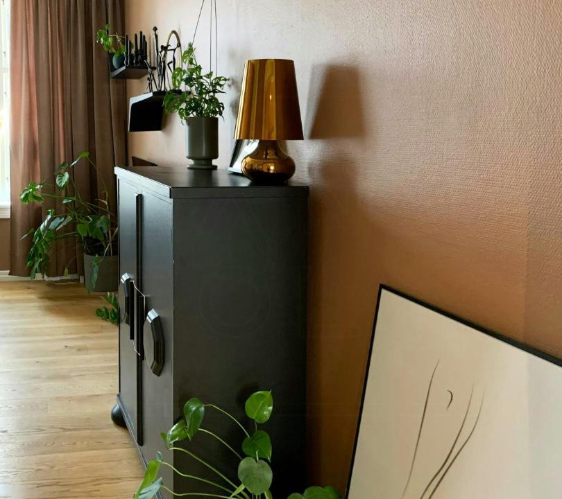 Photo of Livingroom in St. Hanshaugen