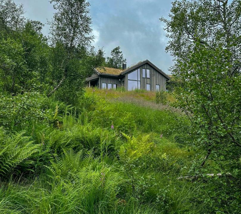 Photo of Others in Ljosland