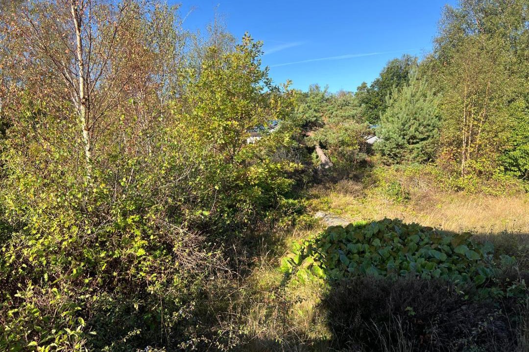 Photo of Outdoor in Gottskar