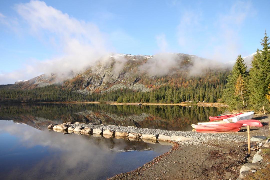 Photo of Others in Vikberget