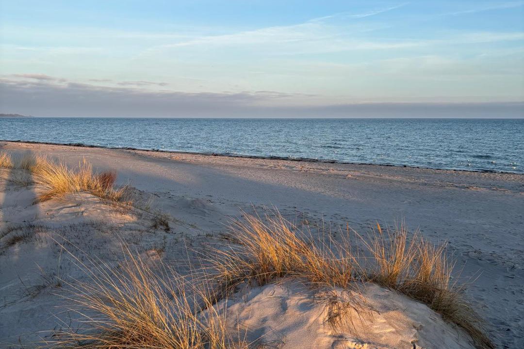 Photo of Others in Beddingestrand