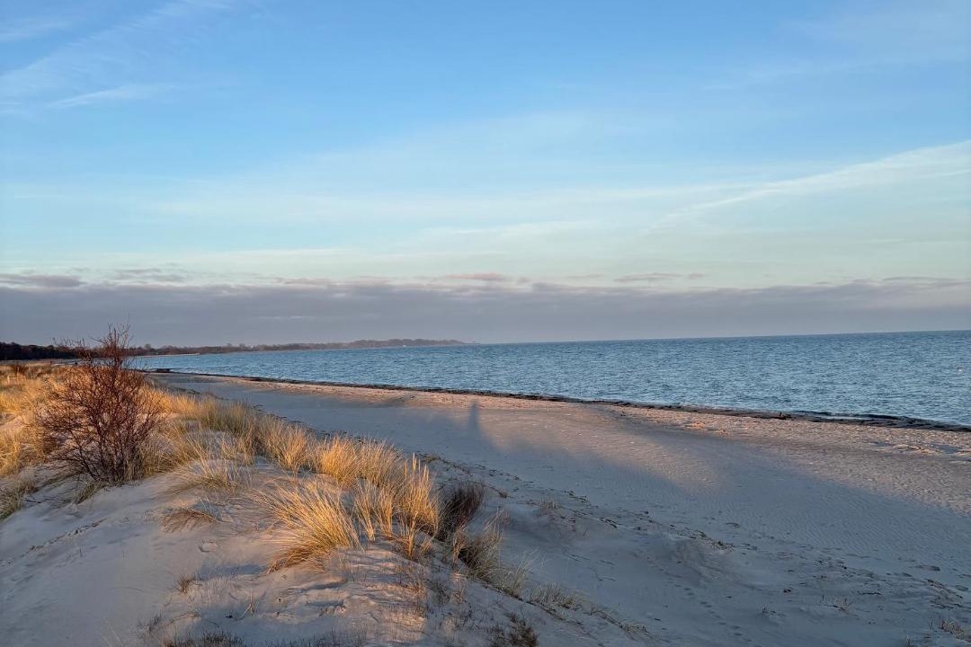 Photo of Others in Beddingestrand