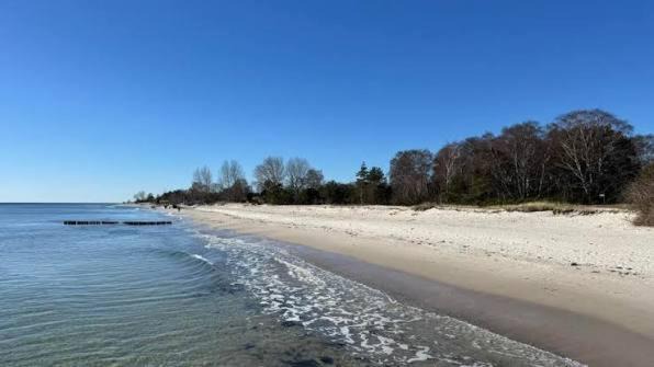 Photo of Others in Beddingestrand