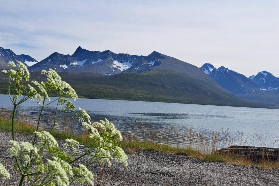 Photo of Others in Lyngen
