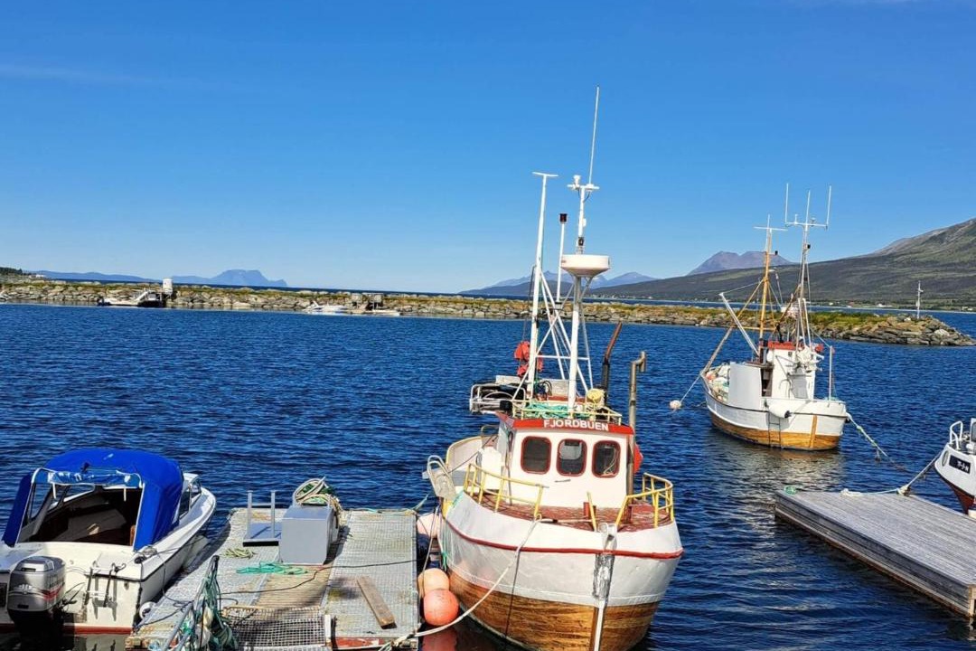 Photo of Others in Lyngen