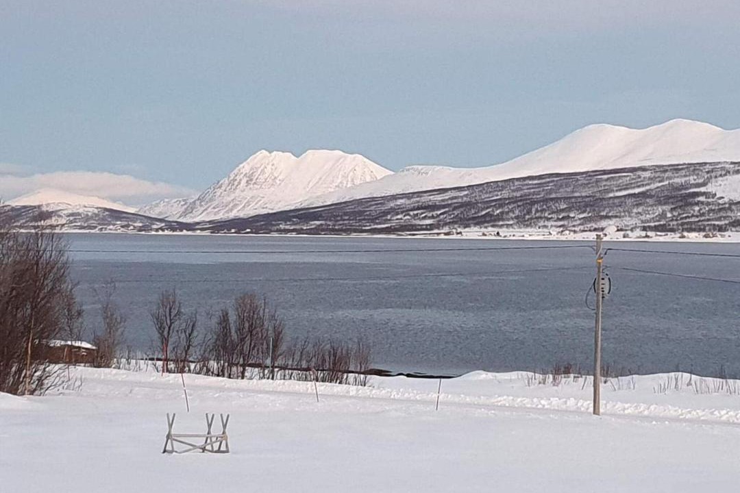 Photo of Others in Lyngen