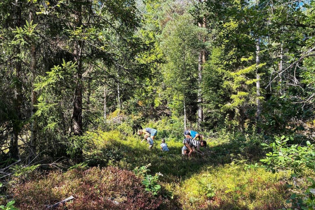 Photo of Others in Tvedestrand