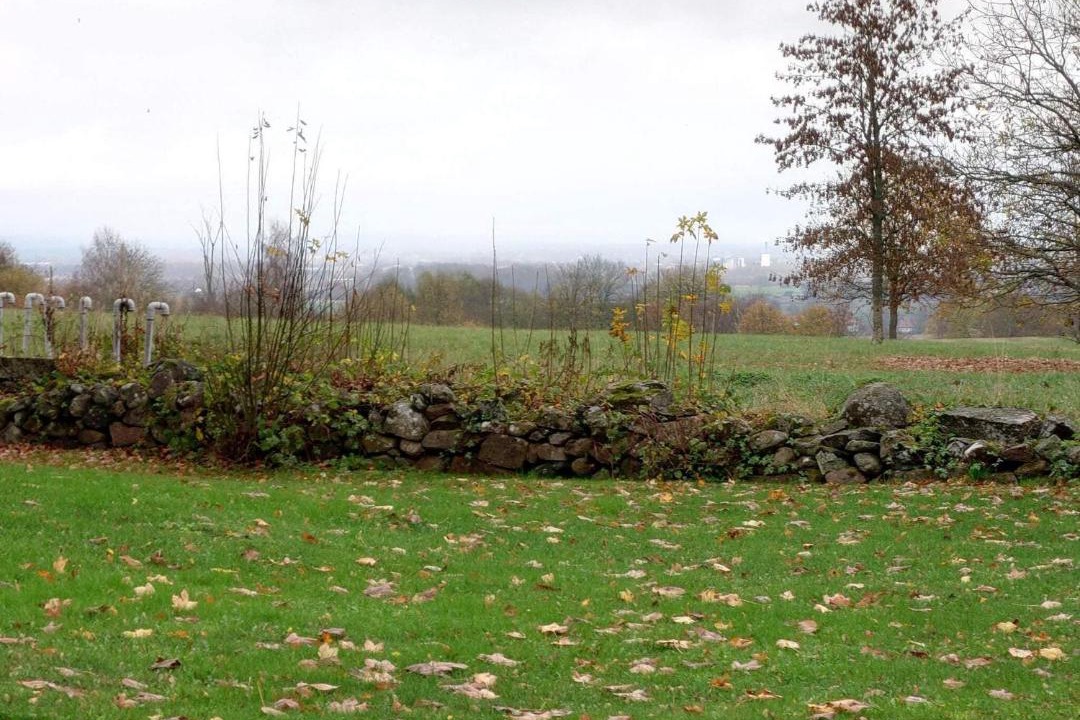 Photo of Others in Everod