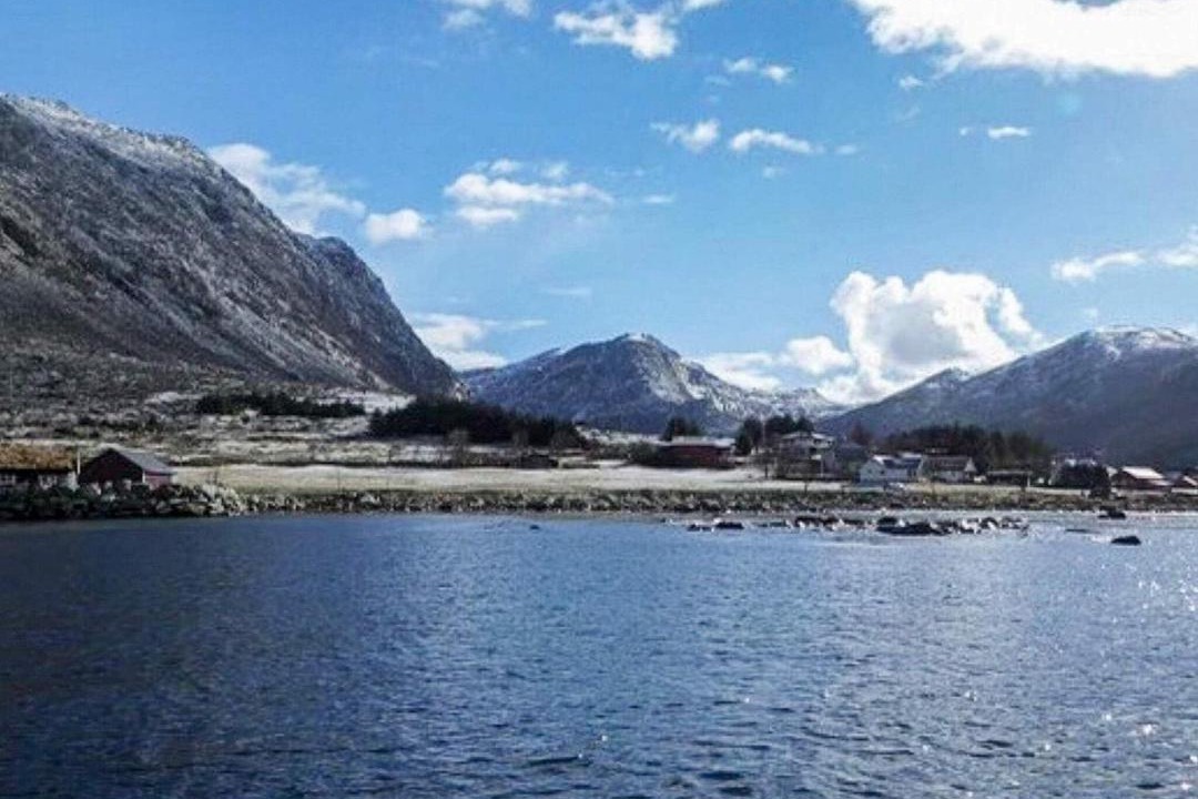 Photo of Others in Florø