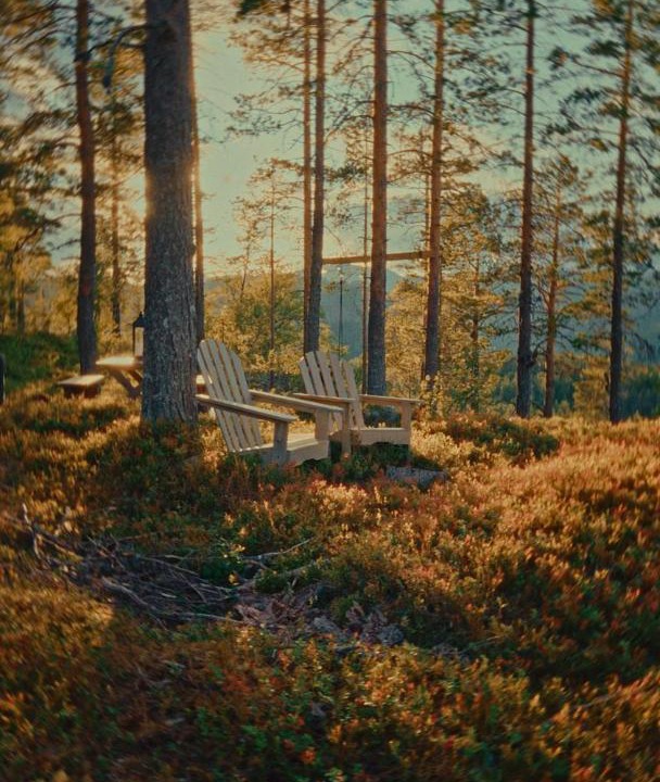 Photo of Others in Sigdal Municipality
