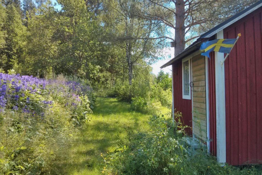 Photo of Buildings in Ramvik