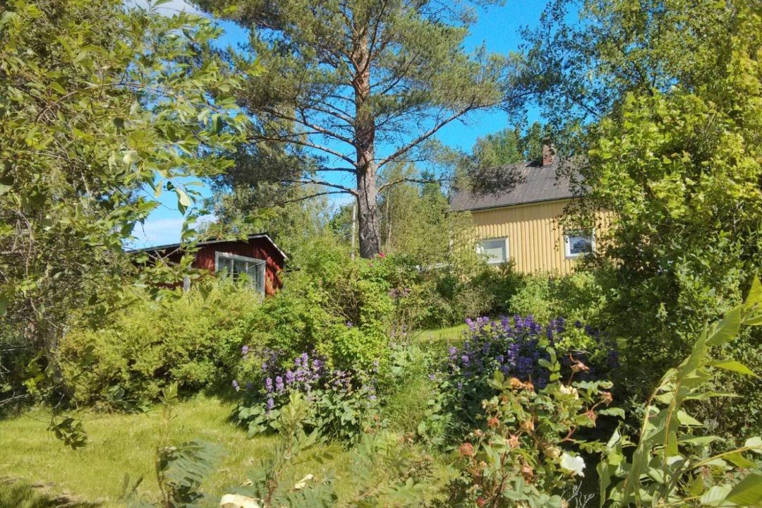 Photo of Outdoor in Ramvik