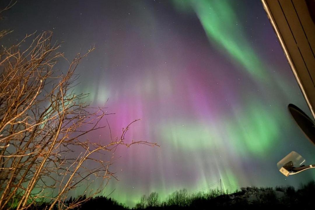 Photo of Others in Hamnvik