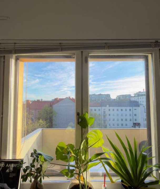 Photo of Others in Turku
