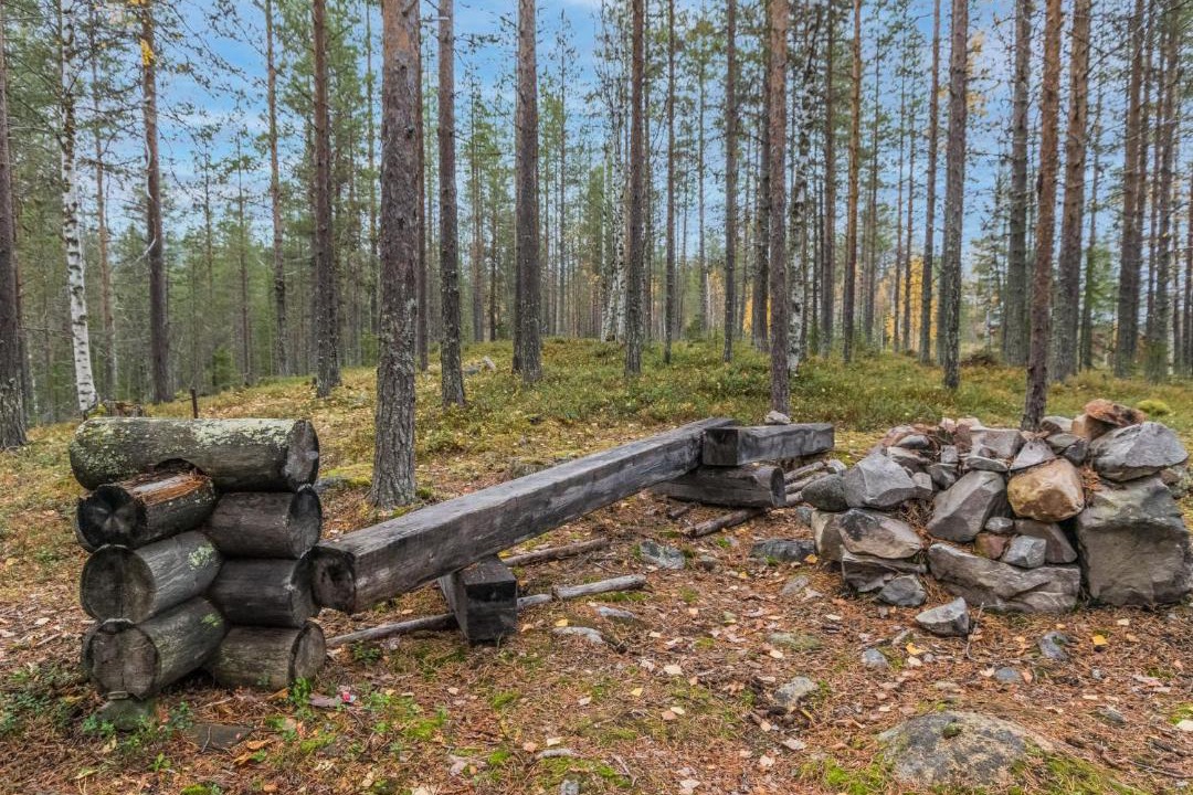 Photo of Others in Lampivaara
