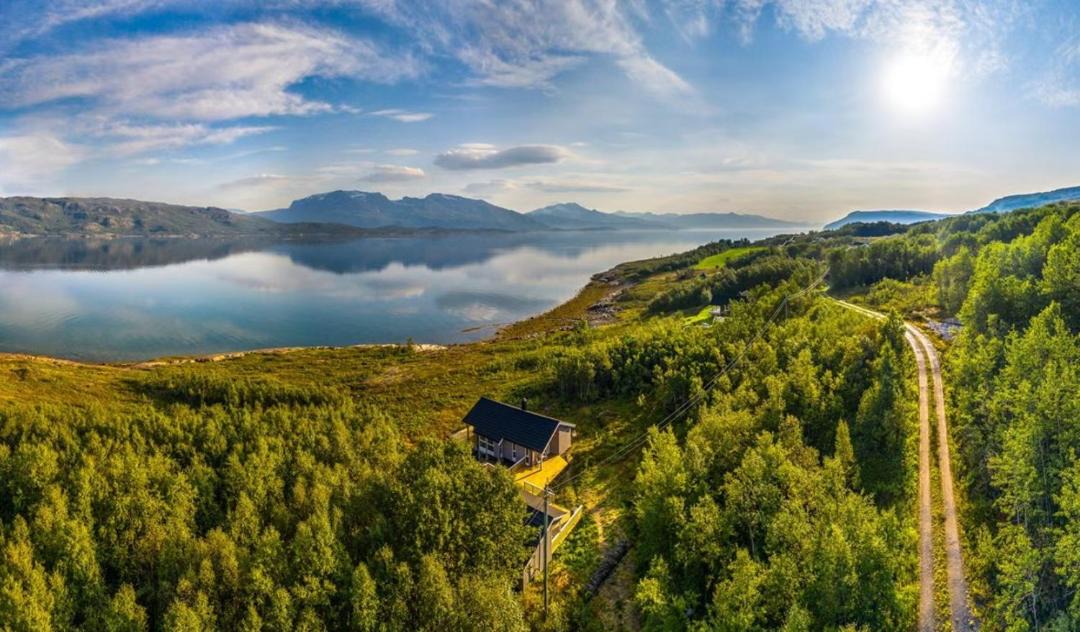Photo of Others in Narvik