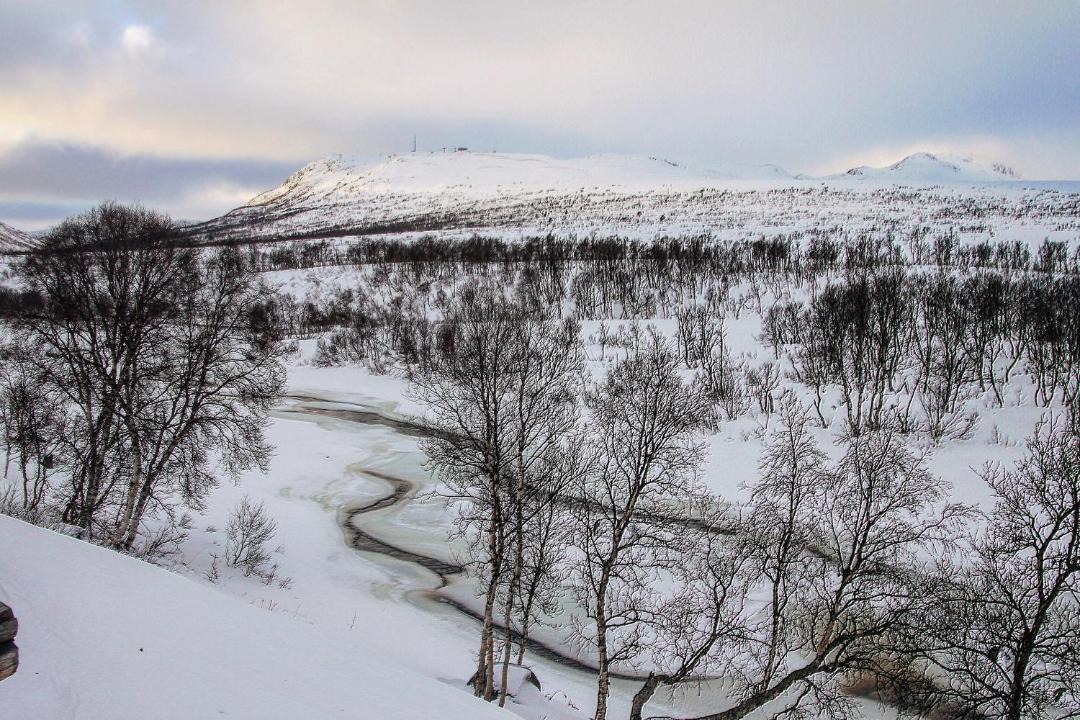 Photo of Others in Hovden