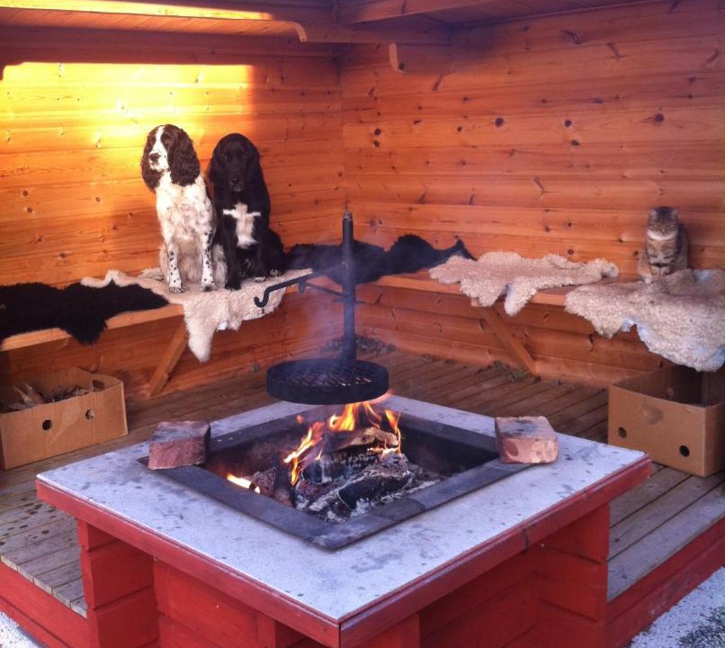 Photo of Others in Svenstavik