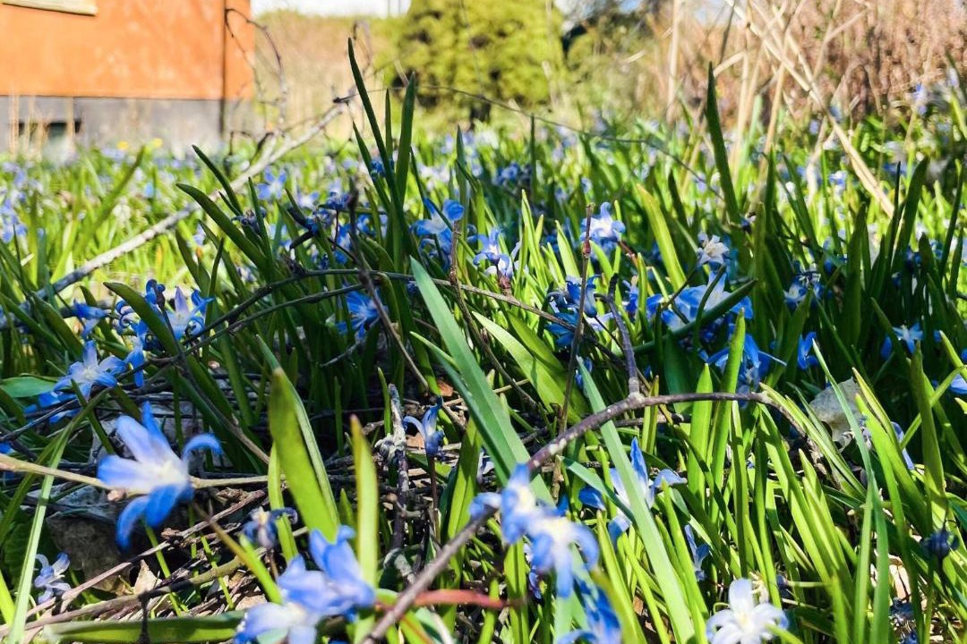 Photo of Outdoor in Lovestad