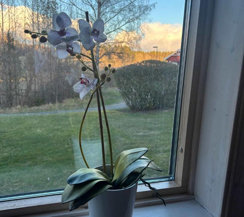 Photo of Others in Northern Stockholm County
