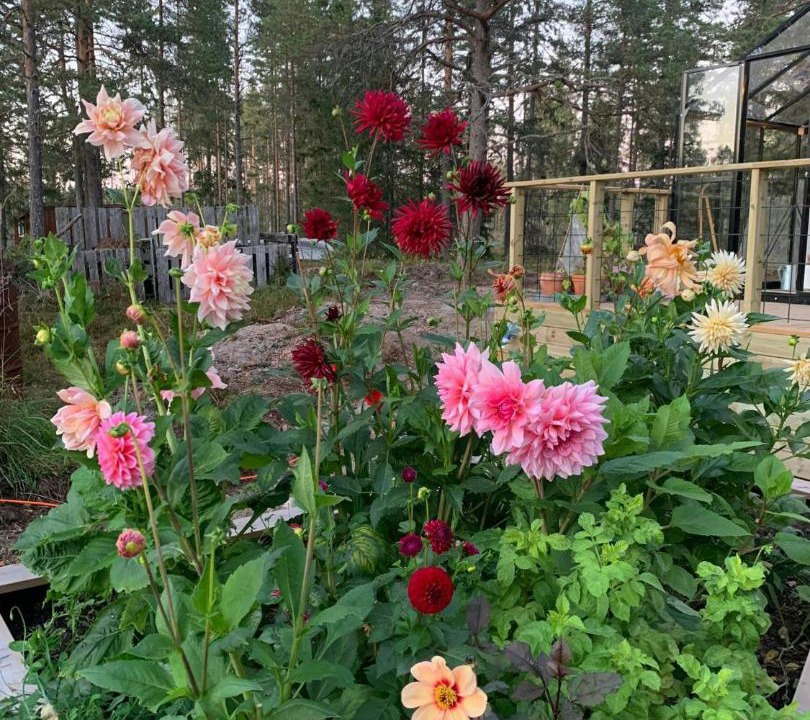 Photo of Others in Umea Municipality