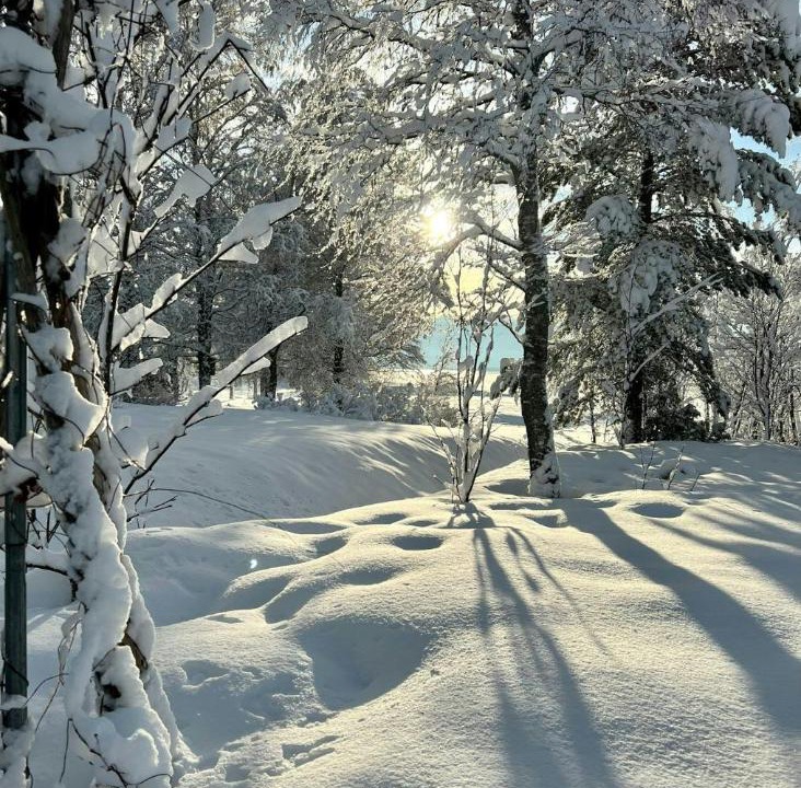 Photo of Others in Umea Municipality
