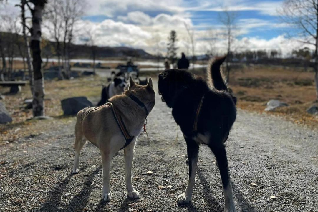 Photo of Others in Vikberget